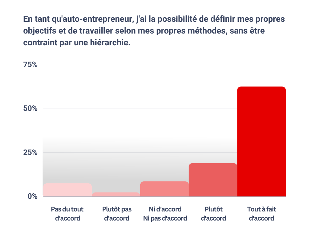 En tant qu'auto-entrepreneur, j'ai la possibilité de définir mes propres objectifs et de travailler selon mes propres méthodes, sans être contraint par une hiérarchie.