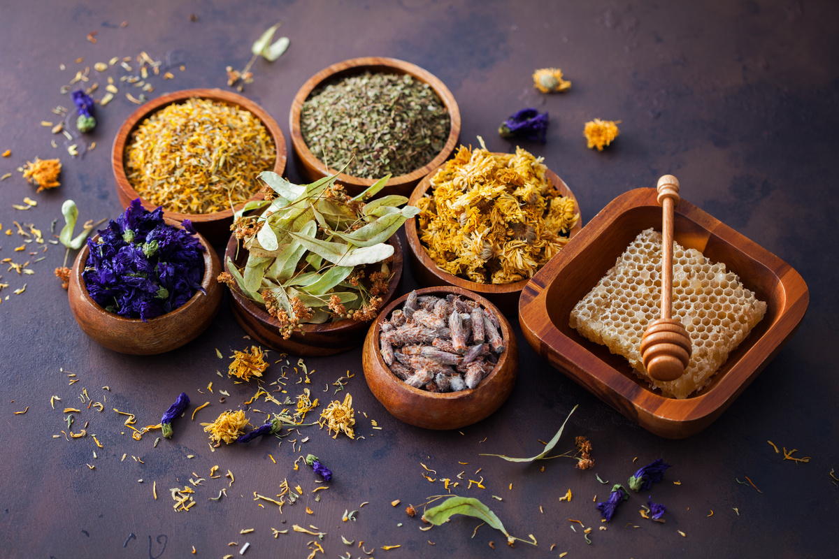 Devenir naturopathe auto-entrepreneur
